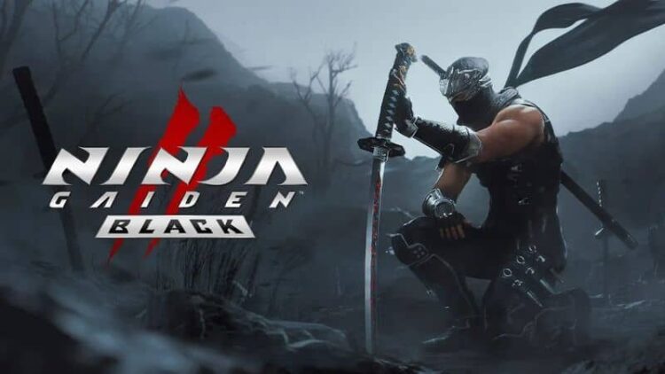 Download - NINJA GAIDEN 2 Black - TmhGames