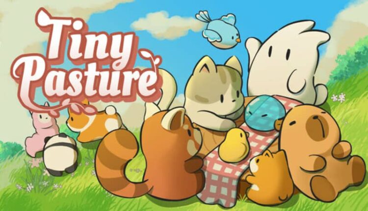 Tiny Pasture 1 Download - Tiny Pasture - TmhGames