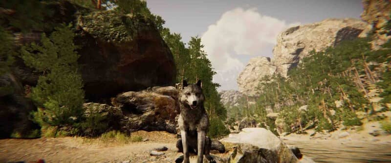 "Thế giới mở rộng lớn trong Animal Simulator - Hình ảnh đồ họa tuyệt đẹp"