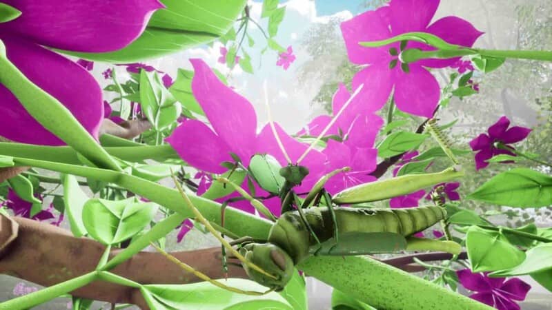 Download - Nature And Life – Drunk On Nectar Free - TmhGames