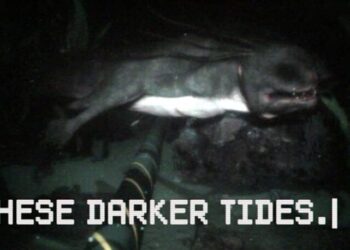 Download - These Darker Tides - TmhGames