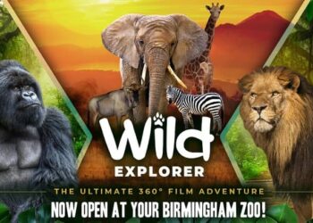 Download - Wild Explorer - TmhGames