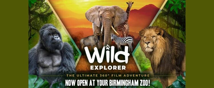 Download - Wild Explorer - TmhGames