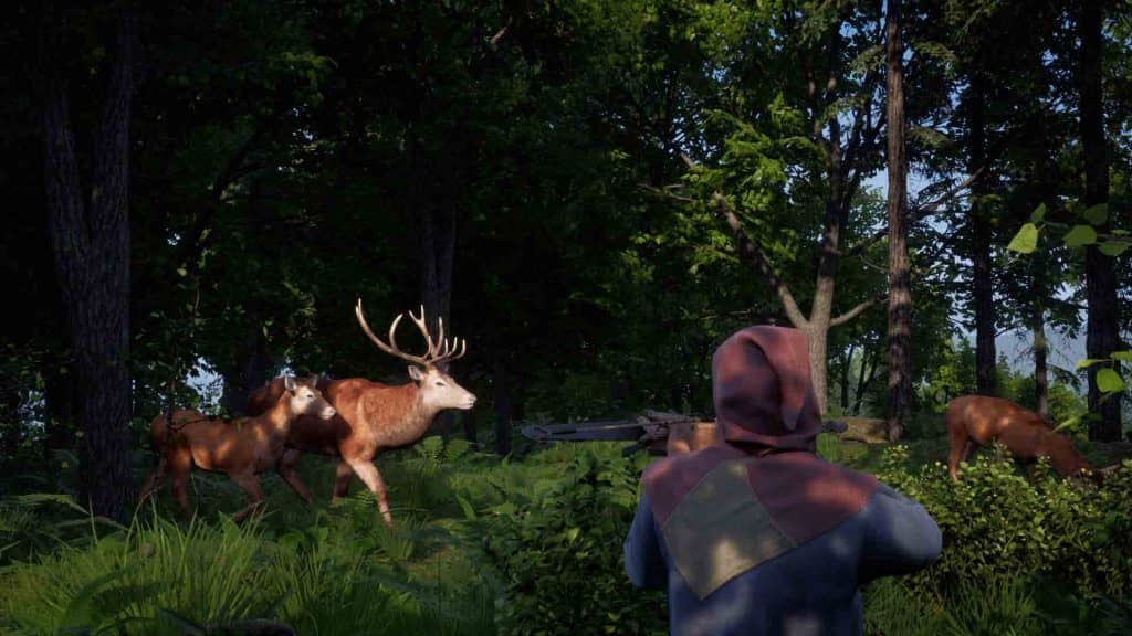 Gameplay Medieval Dynasty Echoes of Nature Khám phá thế giới Medieval Dynasty Echoes of Nature