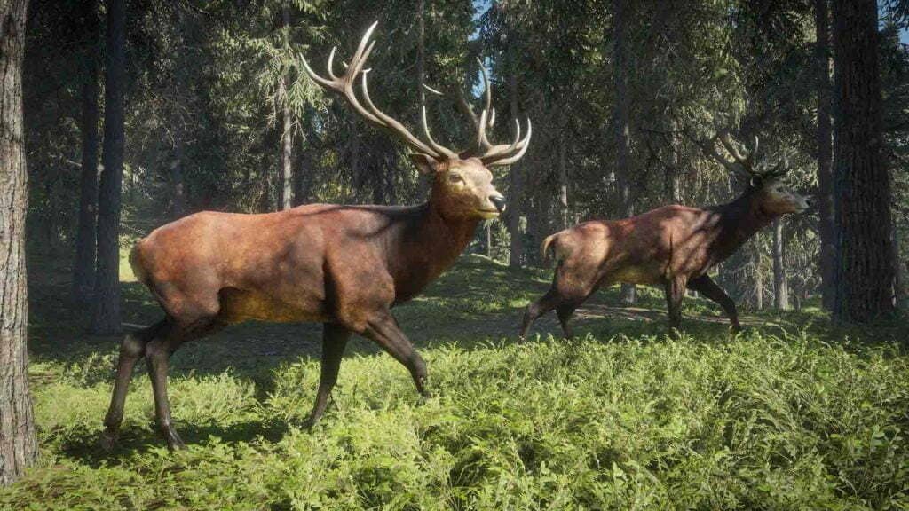 Trang bị và kỹ năng săn bắn trong theHunter Call of the Wild Trang bị súng và kỹ năng săn bắn đa dạng trong theHunter Call of the Wild