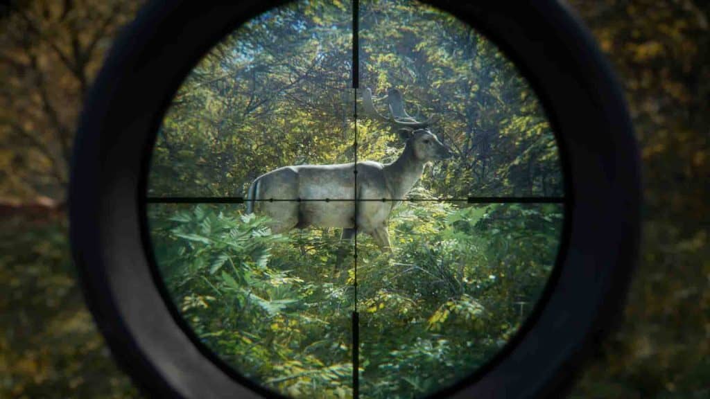 Trải nghiệm săn nai sừng tấm trong theHunter Call of the Wild Gameplay theHunter Call of the Wild săn nai sừng tấm chân thực