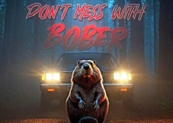 Download - Dont Mess With Bober - TmhGames