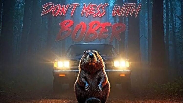 Download - Dont Mess With Bober - TmhGames