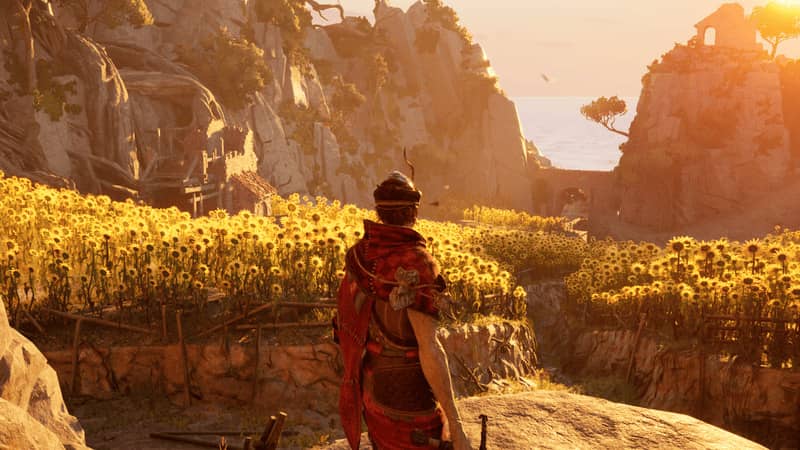 Enotria The Last Song Gameplay - Cánh đồng hoa hướng dương rực rỡ Gameplay Enotria The Last Song, nhân vật chính đứng trên con đường giữa cánh đồng hoa hướng dương dưới ánh hoàng hôn.
