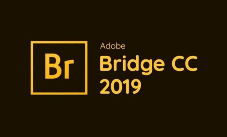 Download - Adobe Bridge 2019 - TmhGames
