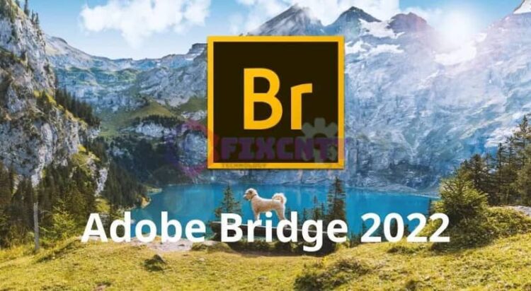 Download - Adobe Bridge 2022 Full - TmhGames