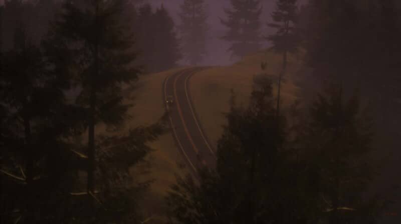 Đường đèo uốn lượn qua rừng thông trong sương mù tím mờ tối