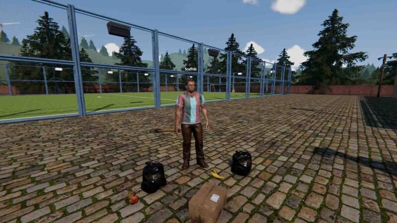 Chuẩn bị công cụ và vật phẩm trước khi làm việc Nhân vật Scaffids với công cụ và vật phẩm trong Football Pitch Simulator