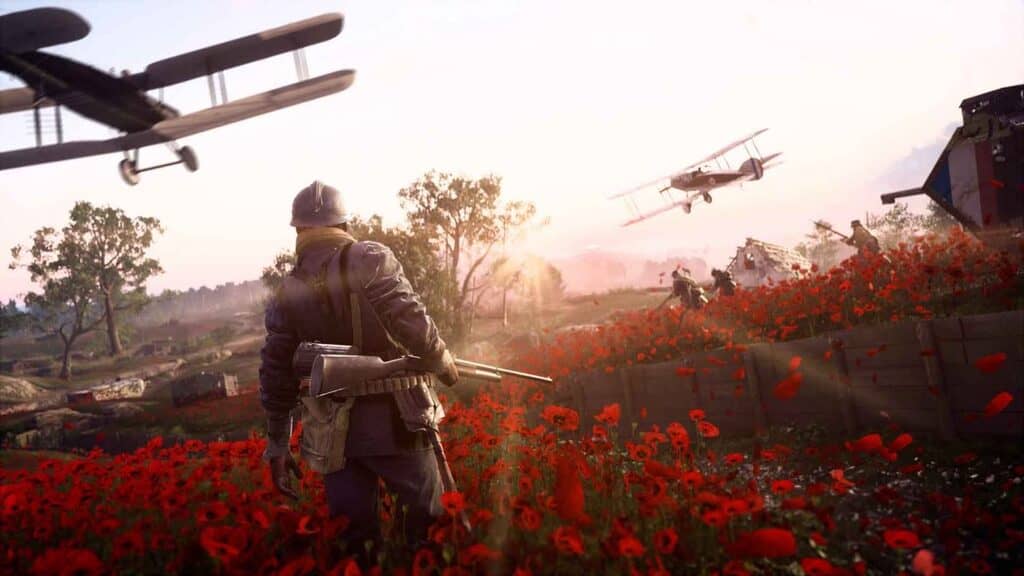 Cánh đồng hoa anh túc và máy bay hai tầng cánh trong Battlefield 1