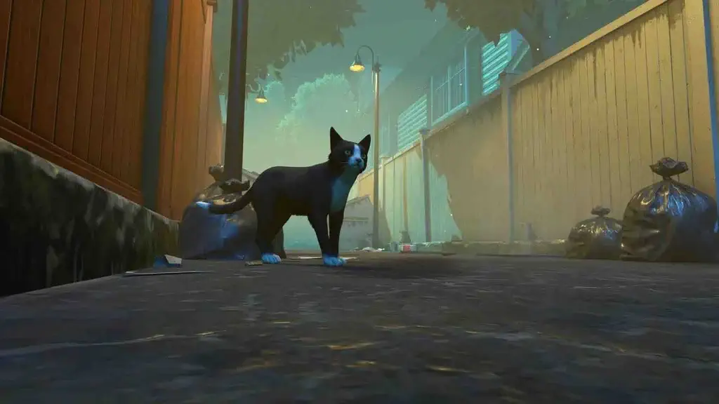 Gameplay Copycat: Chú Mèo Tuxedo Khám Phá Thành Phố hinh anh game copycat meo tuxedo den trang trong hem nho