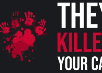 Download - They Killed Your Cat - TmhGames
