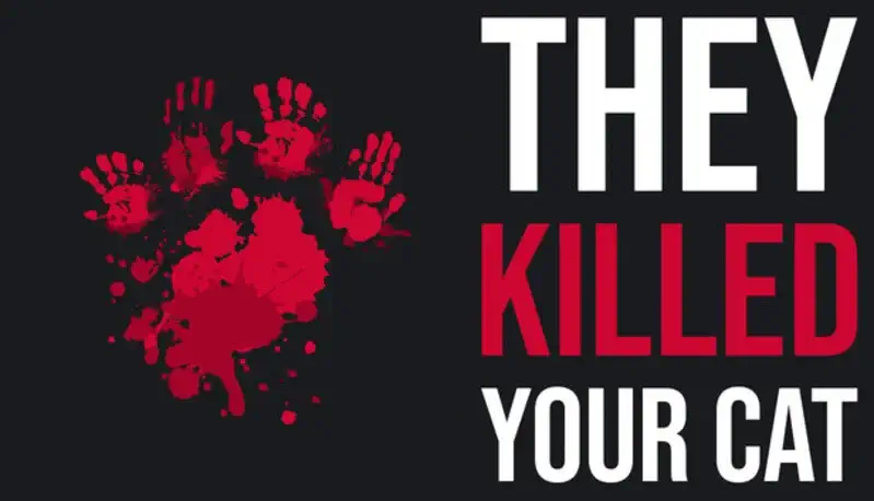 Download - They Killed Your Cat - TmhGames