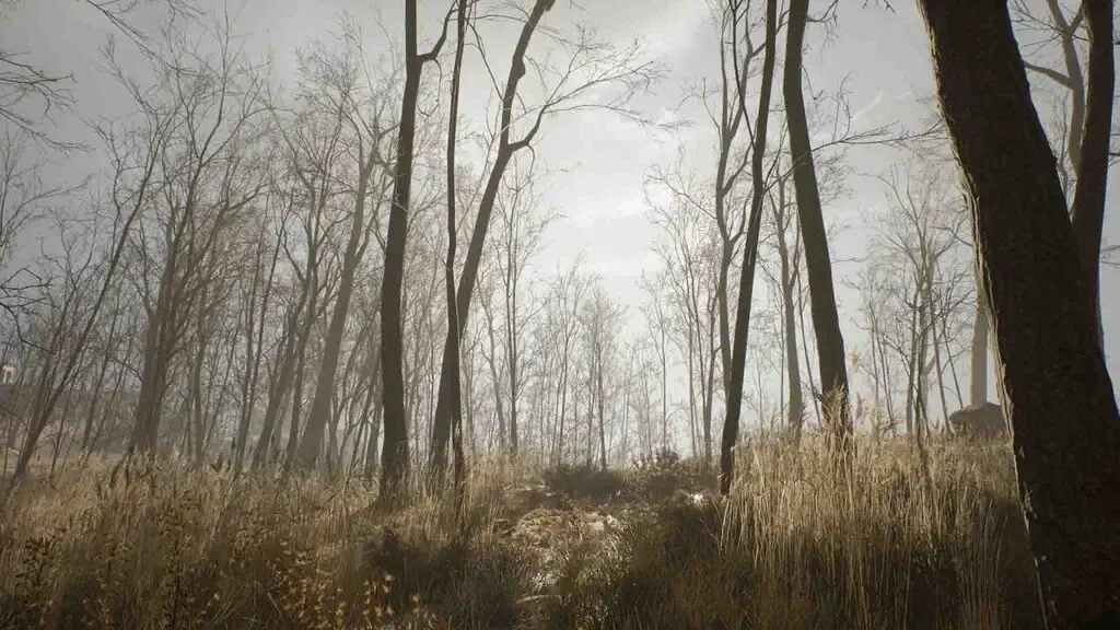 Nowhere Mysterious Artifacts gameplay thám hiểm rừng rậm sương mù dày đặc